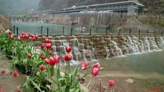 我市“一卡通”3年发放资金超58.2亿元
