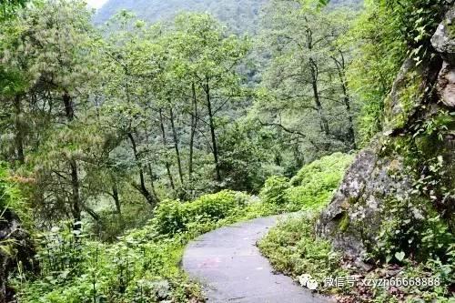 河南省商业行业协会品牌拓展委员会成立十周年庆典活动圆满举行