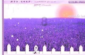 戳泡泡练口算