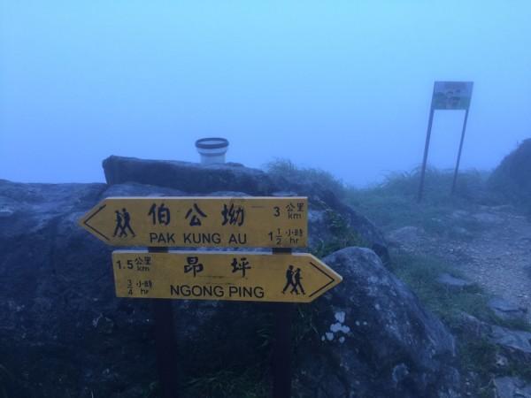 一个大问题
