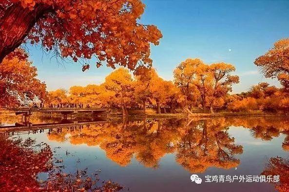燃烧吧大脑装瓶子游戏