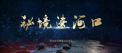 动物帮帮忙保卫家园