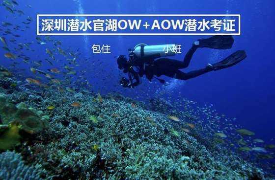初体计划