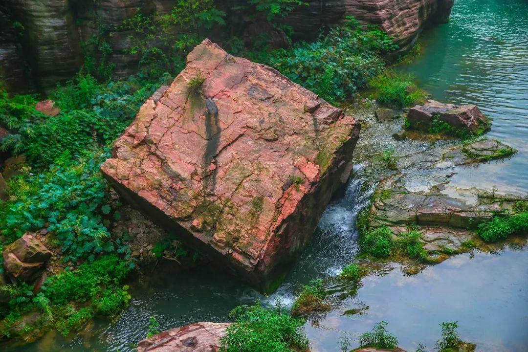 丧尸围城2