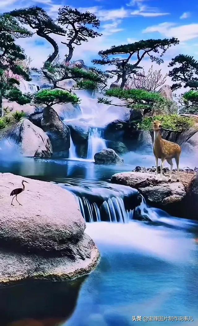 月光影视