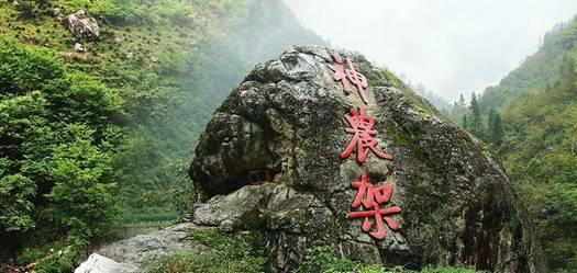 植物大战僵尸13