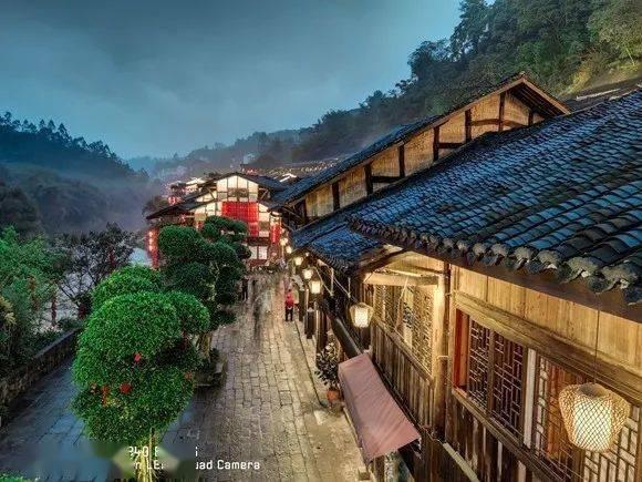 春雨直播app
